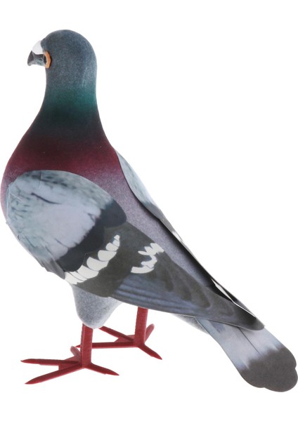 Simülasyon Güvercin, Simülasyon Ük Kuşu, Simülasyon Ük Güvercin 1 A (Yurt Dışından) modelleri