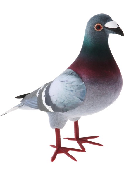 Simülasyon Güvercin, Simülasyon Ük Kuşu, Simülasyon Ük Güvercin 1 A (Yurt Dışından) fırsatları