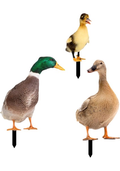 3 Ördek Heykeli Kazıkları, Kazıkları Dekoratif, (Yurt Dışından)