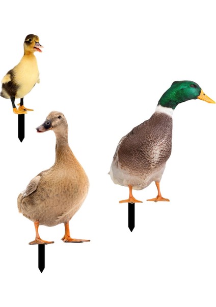 3 Ördek Heykeli Kazıkları, Kazıkları Dekoratif, (Yurt Dışından) modelleri