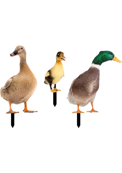 3 Ördek Heykeli Kazıkları, Kazıkları Dekoratif, (Yurt Dışından) fırsatları