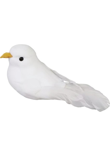 Simülasyon Ük Kuş Dıy (Yurt Dışından)