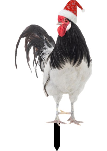 Tavuk Dekor Heykeli Akrilik Canlı Tavuk (Yurt Dışından)