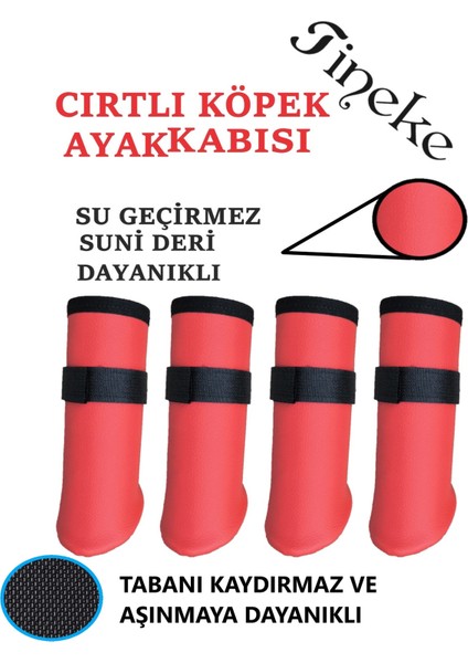 Cırtlı Köpek Ayakkabısı Kırmızı