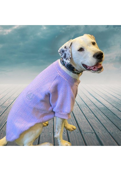 Lilac Orta-Büyük Irk Köpek Kazağı