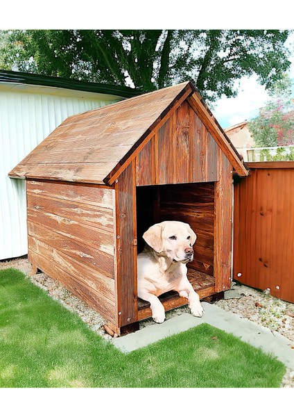 Ahşap Köpek Kulübesi Köpek Evi Ağaç Köpek Yuvası 2024