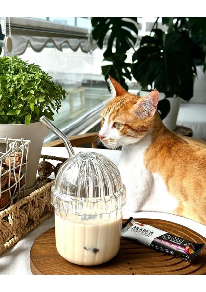 Cam Kapaklı Pipetli Borosilikat Sunum Bardağı - Isıya Dayanıklı Bardak - Kahve Bardağı - 450 ml - Mocha
