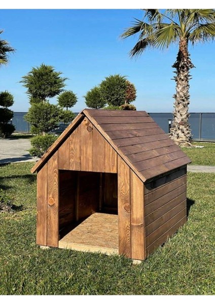 Ela Woodworking Ahşap Büyük Boy Köpek Kulübesi