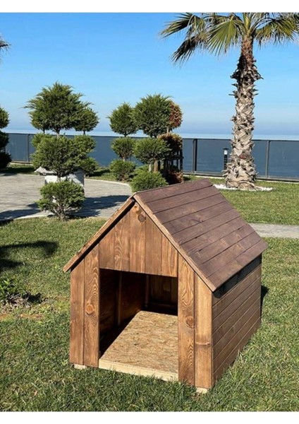 Ela Woodworking Ahşap Büyük Boy Köpek Kulübesi