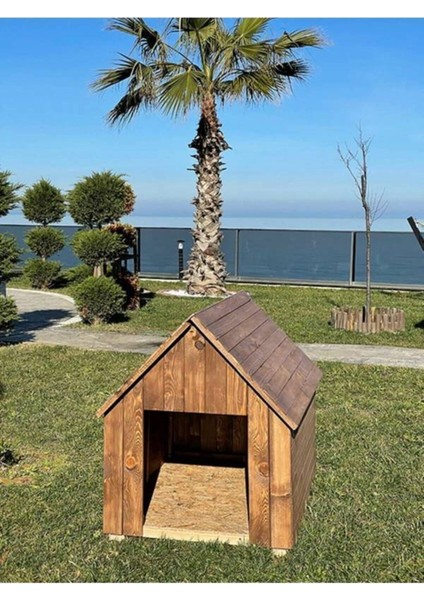 Ela Woodworking Ahşap Büyük Boy Köpek Kulübesi