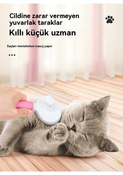 Köpek Saç Eseri Epilasyon Tarağı Evcil Hayvan Için Düğüm Açma Bıçak Tarak Düğüm Saç Makinesi Fırça (Yurt Dışından) fiyatları