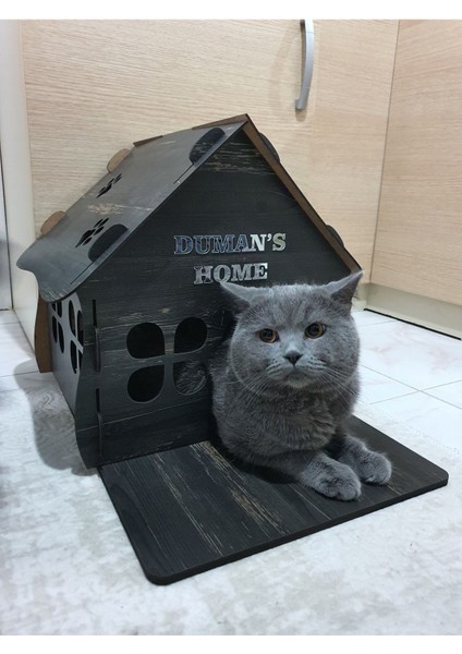 Kedi Evi