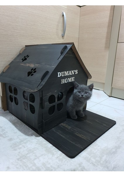 Kedi Evi
