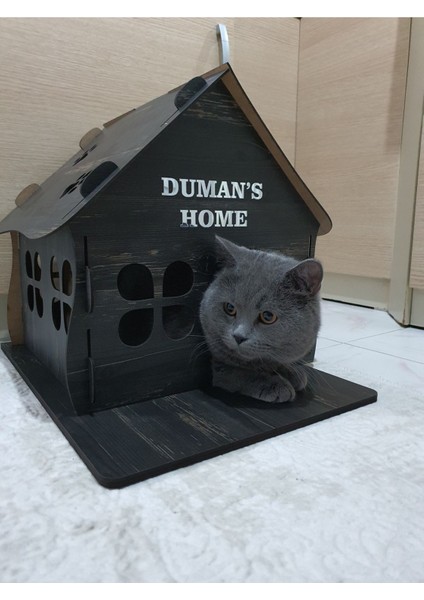 Kedi Evi