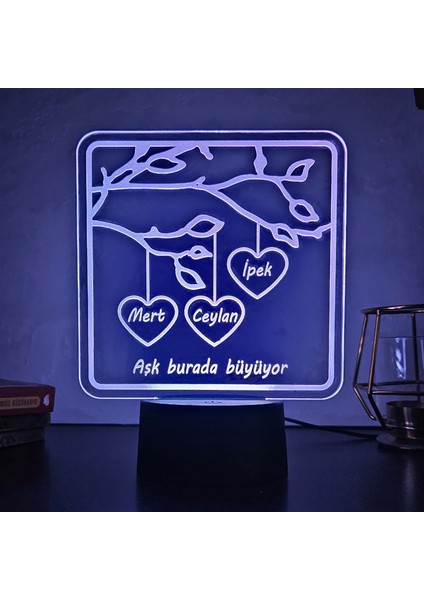 Sevgililer Günü, Yıldönümü ve Özel Günler Için Gece Lambası. 16 Renk+Dokunmatik ve Uzaktan Kumandalı. Mükemmel