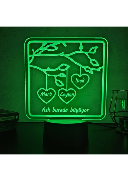 Sevgililer Günü, Yıldönümü ve Özel Günler Için Gece Lambası. 16 Renk+Dokunmatik ve Uzaktan Kumandalı. Mükemmel modelleri
