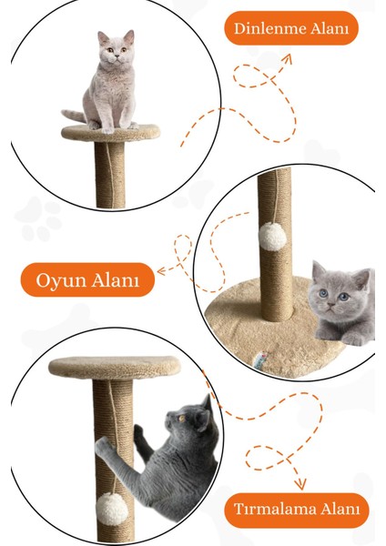 Bej Renkli Kedi Tırmalama Köşesi, Rahat ve Eğlenceli Tasarım fiyatları