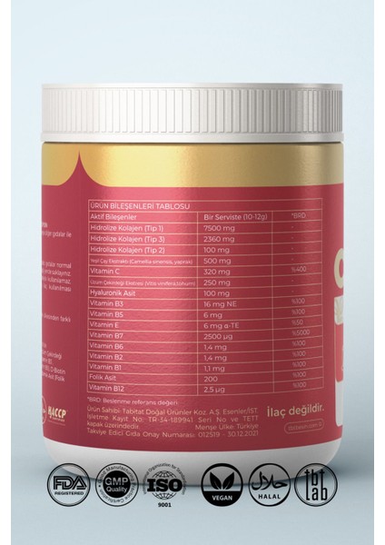 Kolajen Peptit + Hyaluronik Asit + Bitkisel Ekstreler + Vitamin Kompleks | 300 gr | modelleri