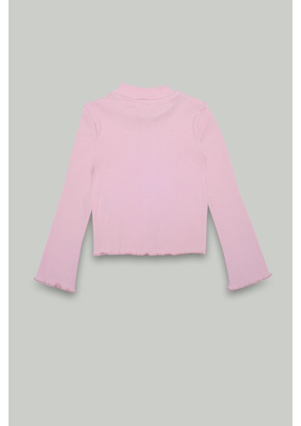 Fermuarlı Dik Yaka kaşkorse pembe Hırka