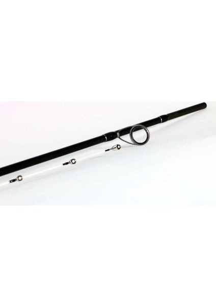 Bassterra Sea Bass 2,74M 7-30G 2pc Spin Kamışı