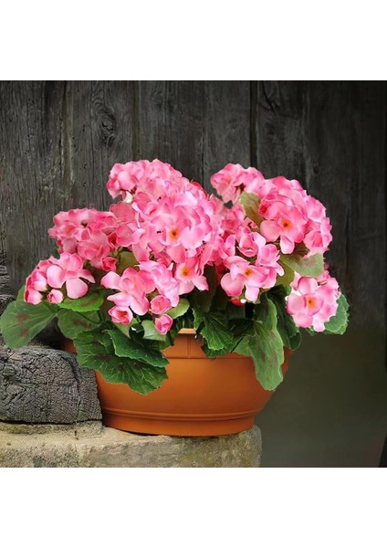 Yapay Çiçek Sardunya Demeti 40*25 cm Pembe Balkon Çiçeği fırsatları