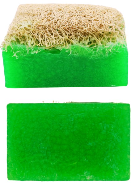 Kabak Lifli Aloe Vera Sabunu 100 Gr
