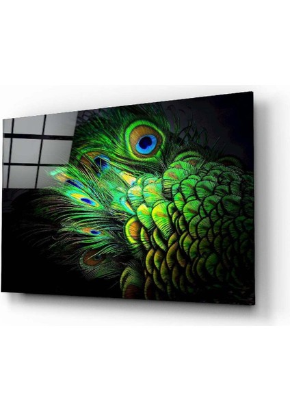 Tavuskuşu Cam Tablo