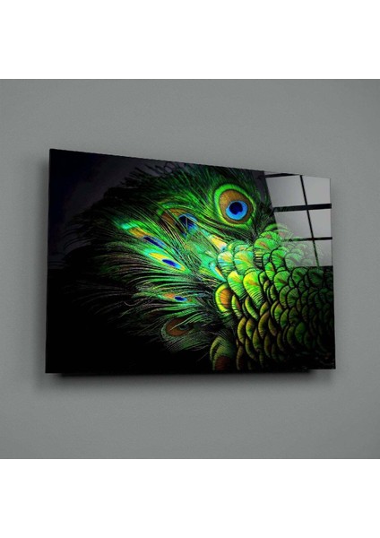 Tavuskuşu Cam Tablo fiyatları