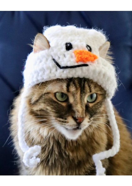 Yılbaşı Kedi Şapkası Hediye Kardan Adam Kedi Şapkası Sevimli Hayvan Noel Evcil Hayvan Aksesuarı