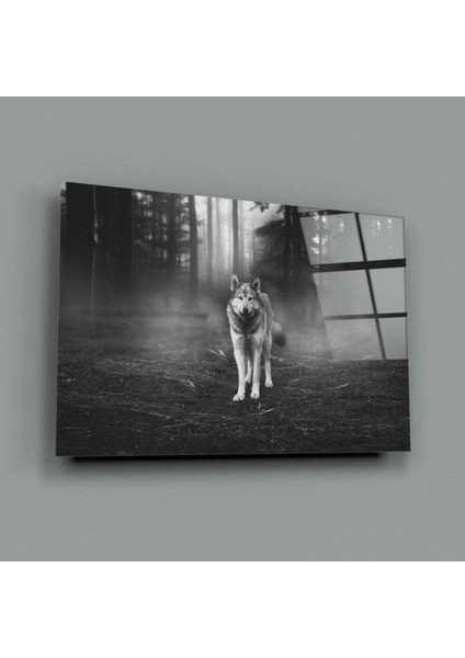 Kurt Cam Tablo modelleri