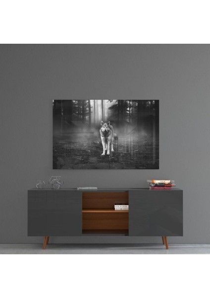 Kurt Cam Tablo fırsatları