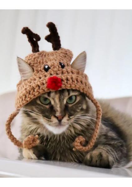 Kedi Şapkası Hediye Geyik Kedi Şapkası Sevimli Hayvan Noel Evcil Hayvan Aksesuarı