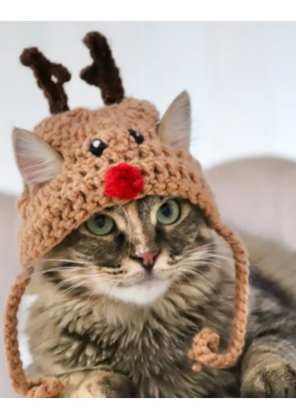 Kedi Şapkası Hediye Geyik Kedi Şapkası Sevimli Hayvan Noel Evcil Hayvan Aksesuarı