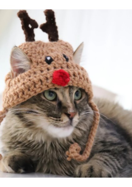 Kedi Şapkası Hediye Geyik Kedi Şapkası Sevimli Hayvan Noel Evcil Hayvan Aksesuarı
