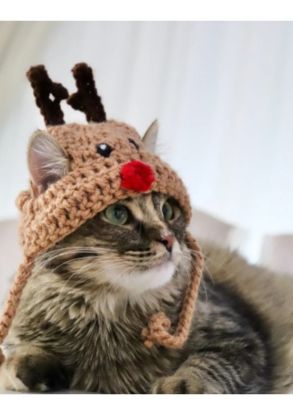 Kedi Şapkası Hediye Geyik Kedi Şapkası Sevimli Hayvan Noel Evcil Hayvan Aksesuarı