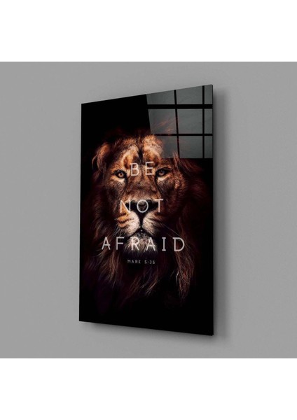 Aslan Cam Tablo fiyatları