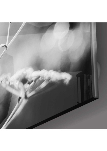 Çiçek Cam Tablo fiyatları