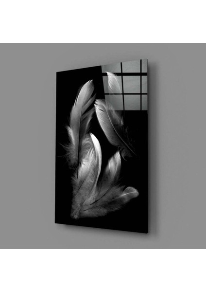 Tüy Cam Tablo fiyatları