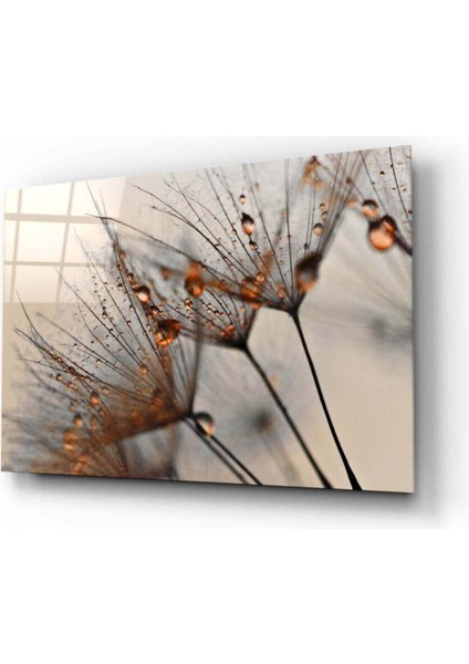 Tarçın Karahindiba Cam Tablo