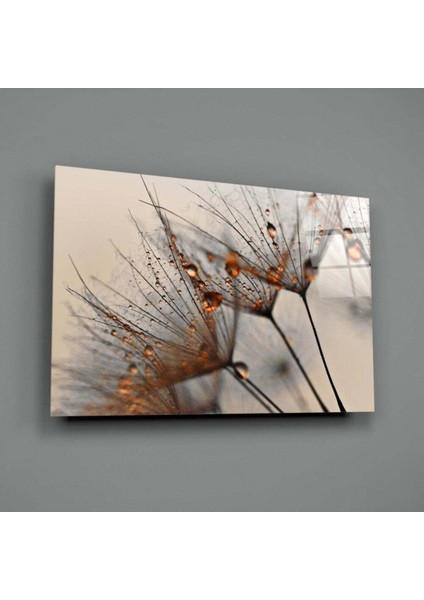 Tarçın Karahindiba Cam Tablo modelleri