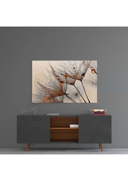 Tarçın Karahindiba Cam Tablo fırsatları