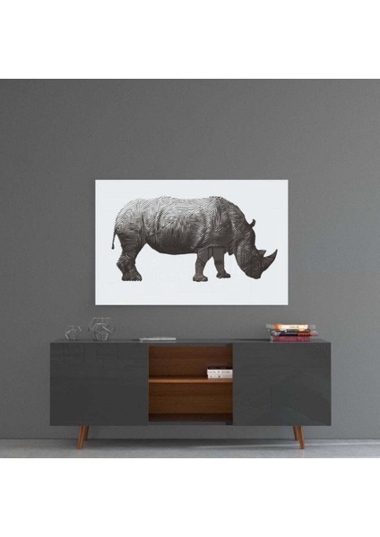 Gergedan Rhino Cam Tablo fırsatları
