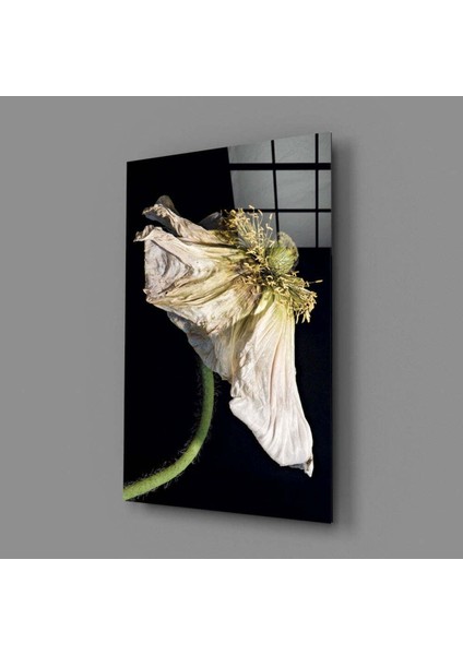 Çiçek Cam Tablo fiyatları