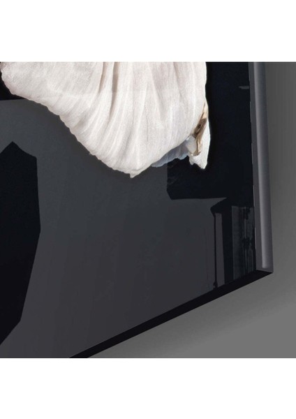 Çiçek Cam Tablo modelleri