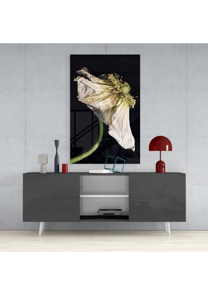 Çiçek Cam Tablo fırsatları