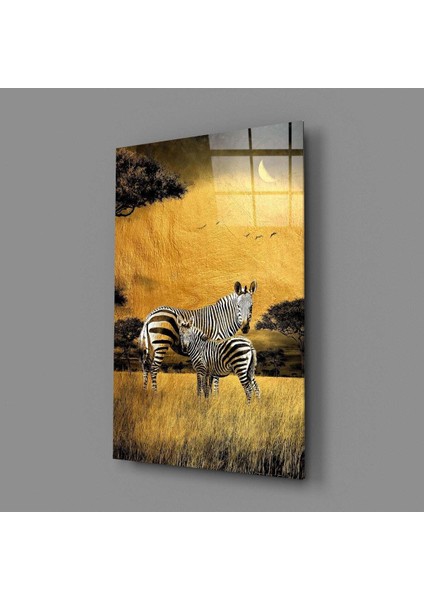 Zebralar Cam Tablo modelleri