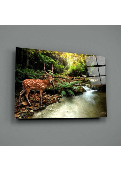 Orman Cam Tablo fiyatları