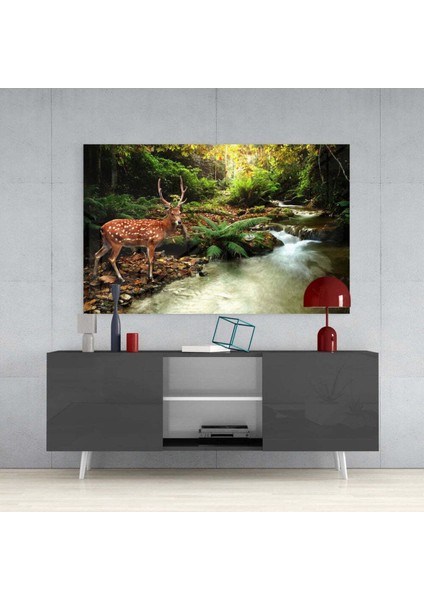 Orman Cam Tablo fırsatları