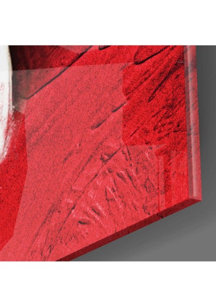 Atatürk Cam Tablo modelleri