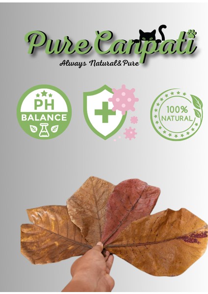 Akvaryum Catappa Yaprağı 5 Adet